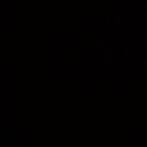 Meet your Posher, Isabella